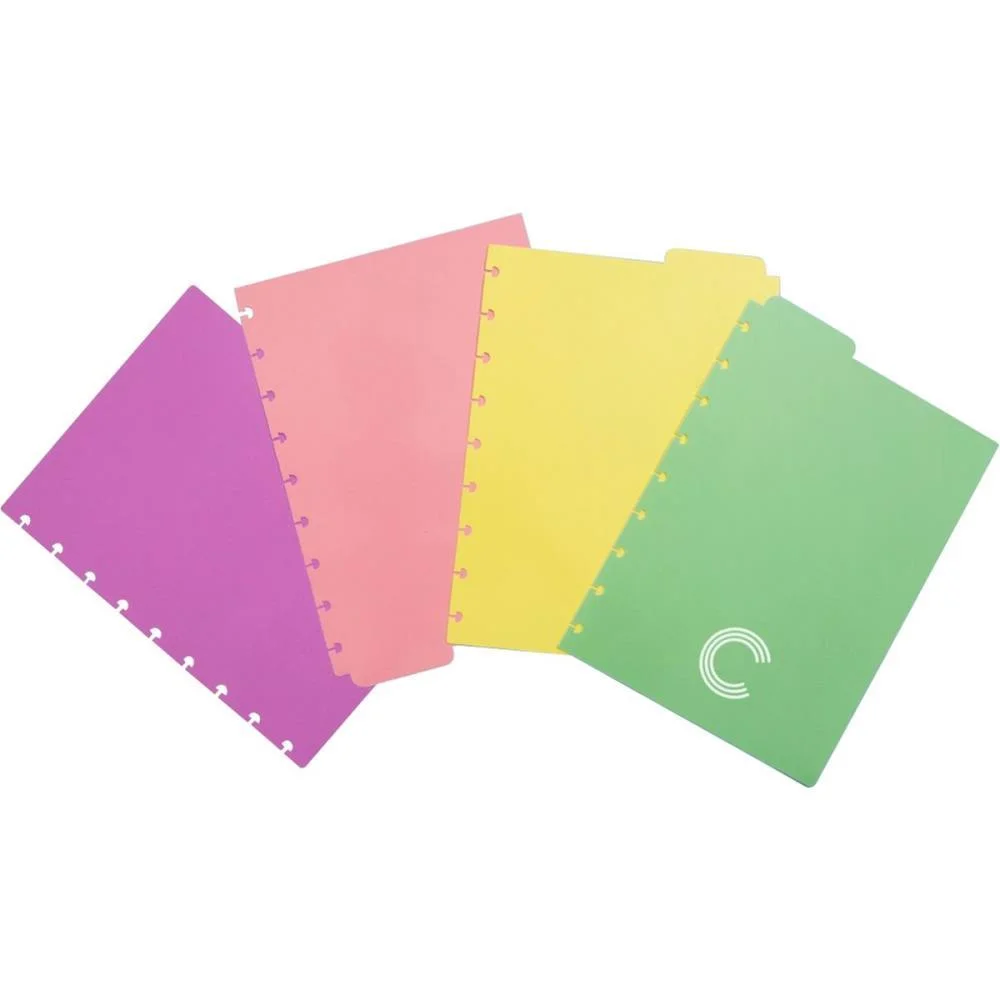 CADERNO INTELIGENTE DIVISORIAS MEDIO PASTEL C/4 UNID. CADERNO INTELIGENTE (PACOTE) - imagem 2