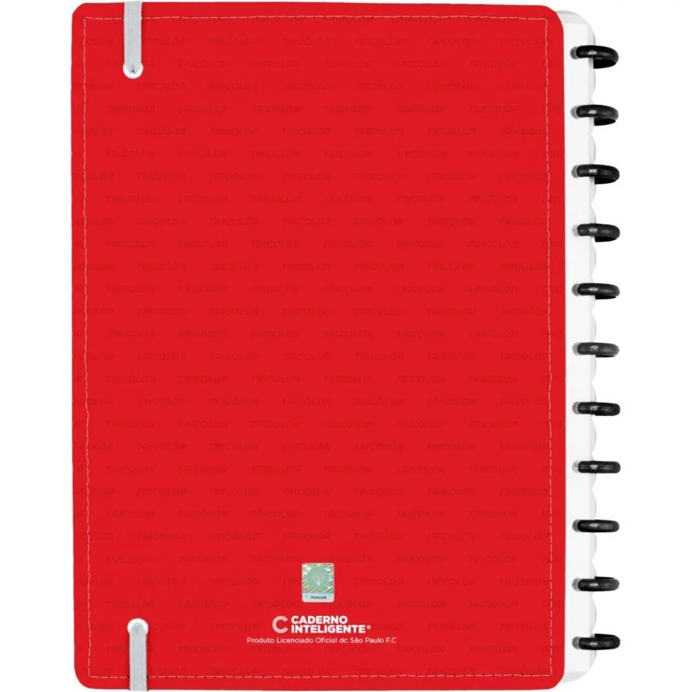 CADERNO INTELIGENTE GRANDE SÃO PAULO SOBERANO 80FLS CADERNO INTELIGENTE (UNIDADE) - imagem 4