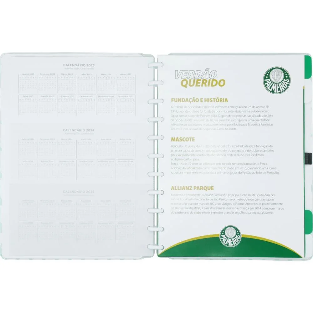 CADERNO INTELIGENTE GRANDE PALMEIRAS ALVIVERDE 80FLS CADERNO INTELIGENTE (UNIDADE) - imagem 5