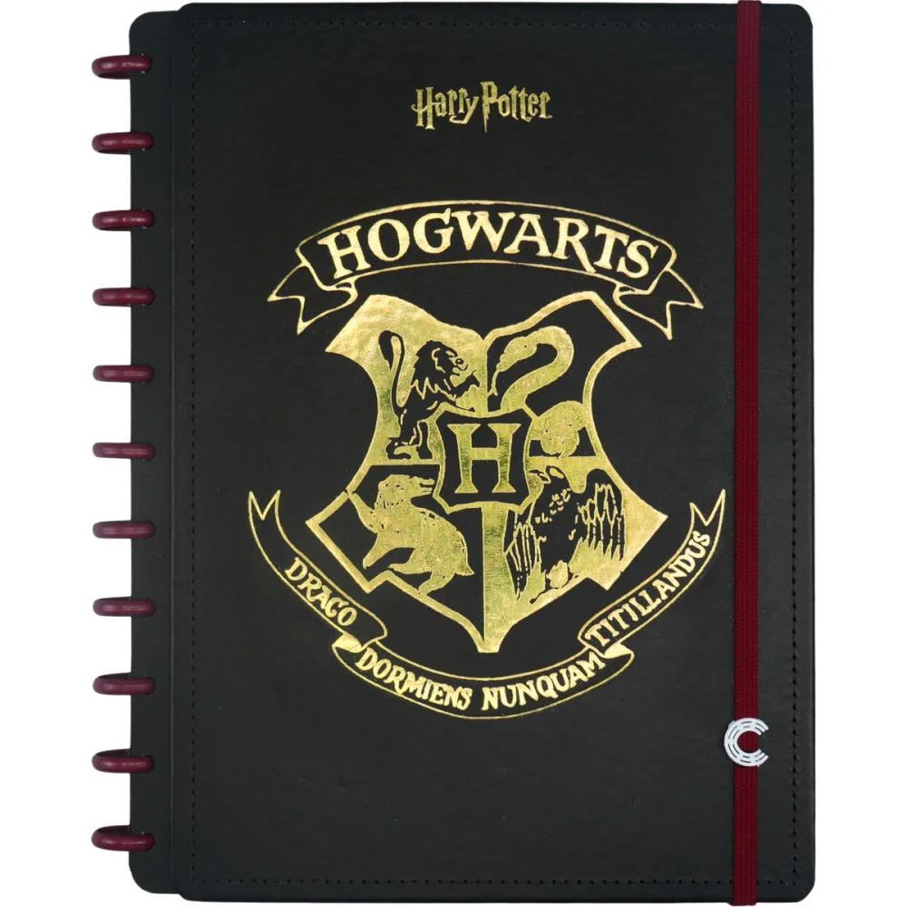 CADERNO INTELIGENTE GRANDE HARRY POTTER 80FLS 215X280MM CADERNO INTELIGENTE (UNIDADE) - imagem 3