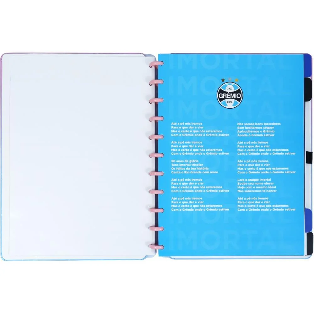 CADERNO INTELIGENTE GRANDE GREMIO IMORTAL ROSA 80FLS CADERNO INTELIGENTE (UNIDADE) - imagem 4