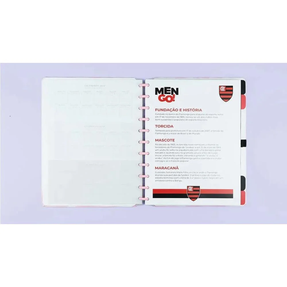 CADERNO INTELIGENTE GRANDE FLAMENGO ROSA 80FLS 215X280MM CADERNO INTELIGENTE (UNIDADE) - imagem 5