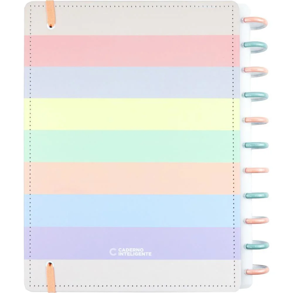 CADERNO INTELIGENTE GRANDE ARCO IRIS 10 MATERIAS 140FLS CADERNO INTELIGENTE (UNIDADE) - imagem 7