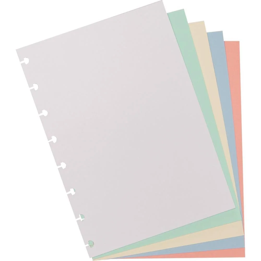 CADERNO INTELIGENTE REFIL A5 COLORIDO 80G.50FLS. CADERNO INTELIGENTE (PACOTE) - imagem 4