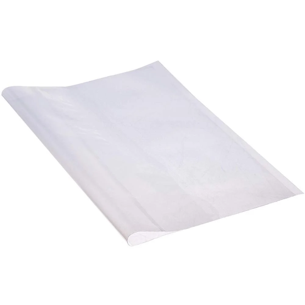 CAPA PARA CADERNO DIARIO PROF. TRANSP. 31,5X44CM PLASITIBAN (PCT.C/50) - imagem 3