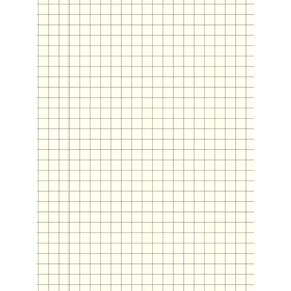 CADERNO QUADRICULADO UNIVERS. NEURO CD 1X1CM 60F JANDAIA (PCT.C/05) - imagem 5