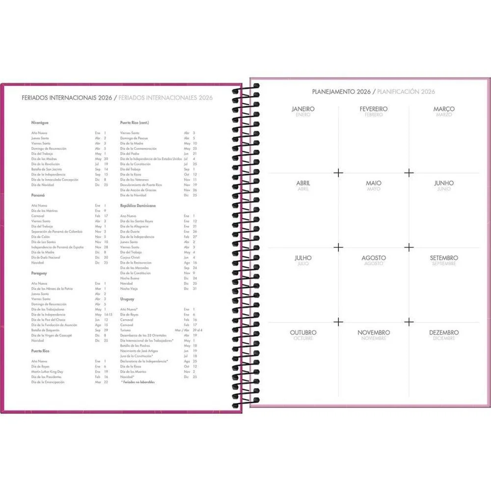 AGENDA 2026 SPOT ESP FEMIN.200F 200X275MM TILIBRA (PCT.C/04) - imagem 7