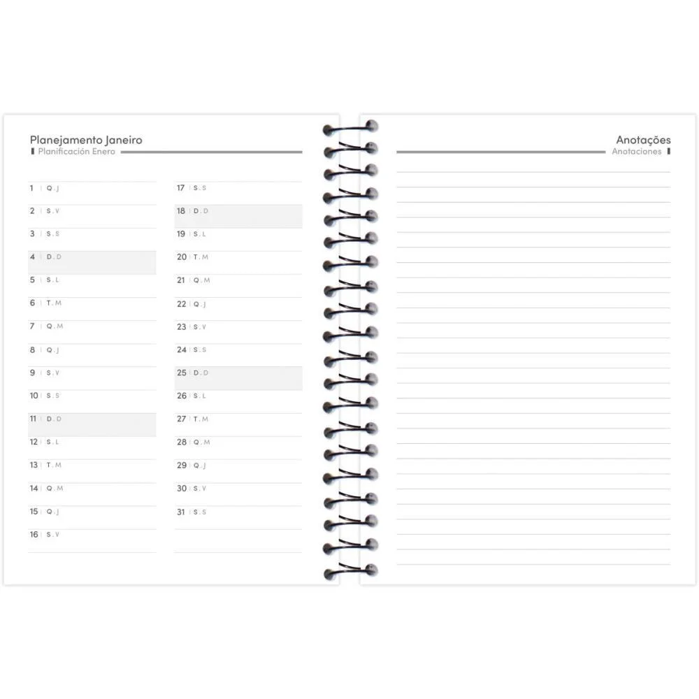 AGENDA 2026 OFFICE CLASS 176F.130X188MM FORONI (PCT.C/05) - imagem 7