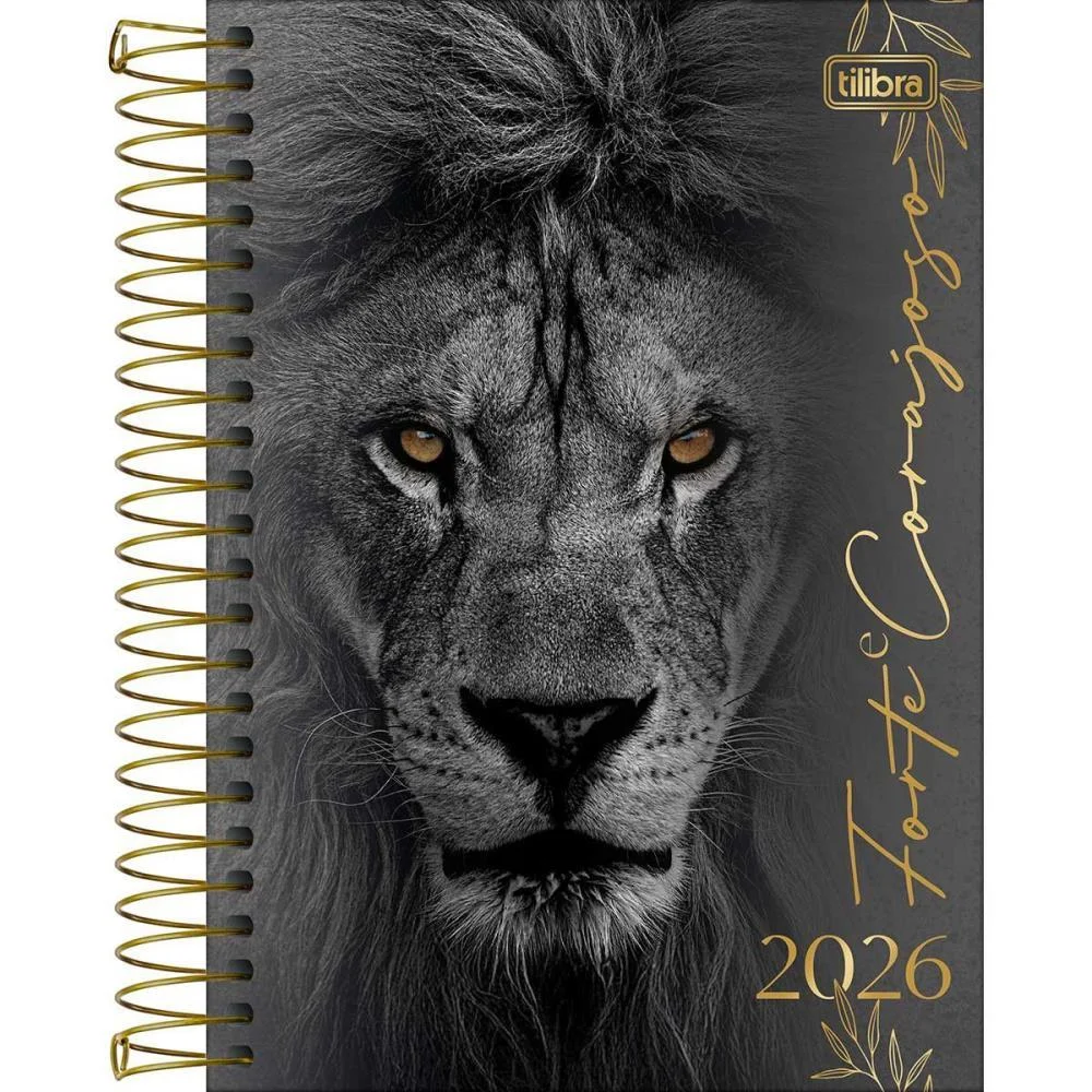 AGENDA 2026 LOUVOR CD ESP 208FLS 140X200MM TILIBRA (PCT.C/04) - imagem 5