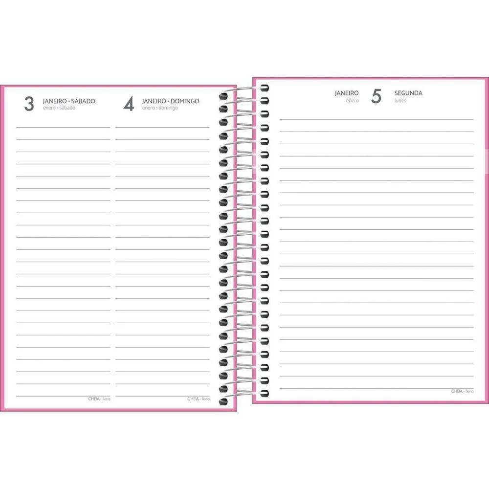 AGENDA 2026 D+ FEMININA ESP 176F 117X164MM TILIBRA (PCT.C/04) - imagem 4