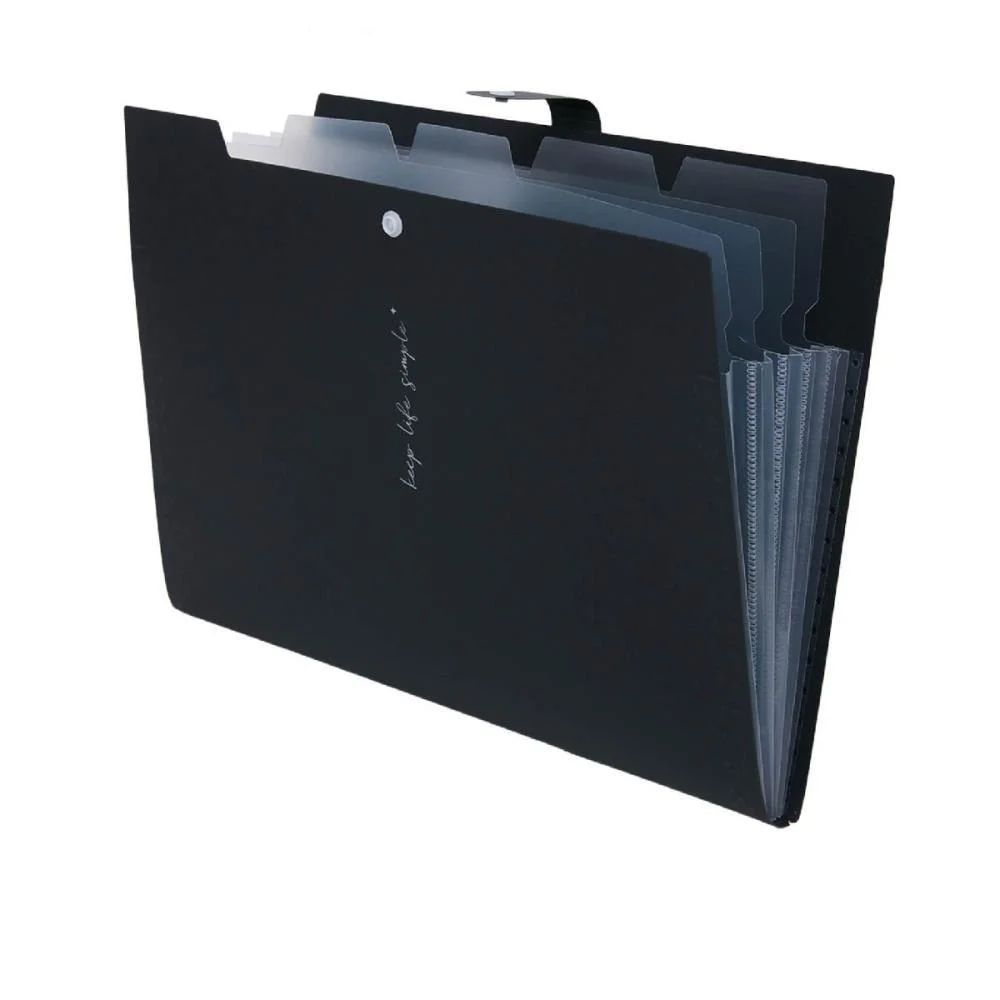 PASTA SANFONADA PLASTICA A4 5 DIVISOES PRETA POLIBRAS (UNIDADE) - imagem 3