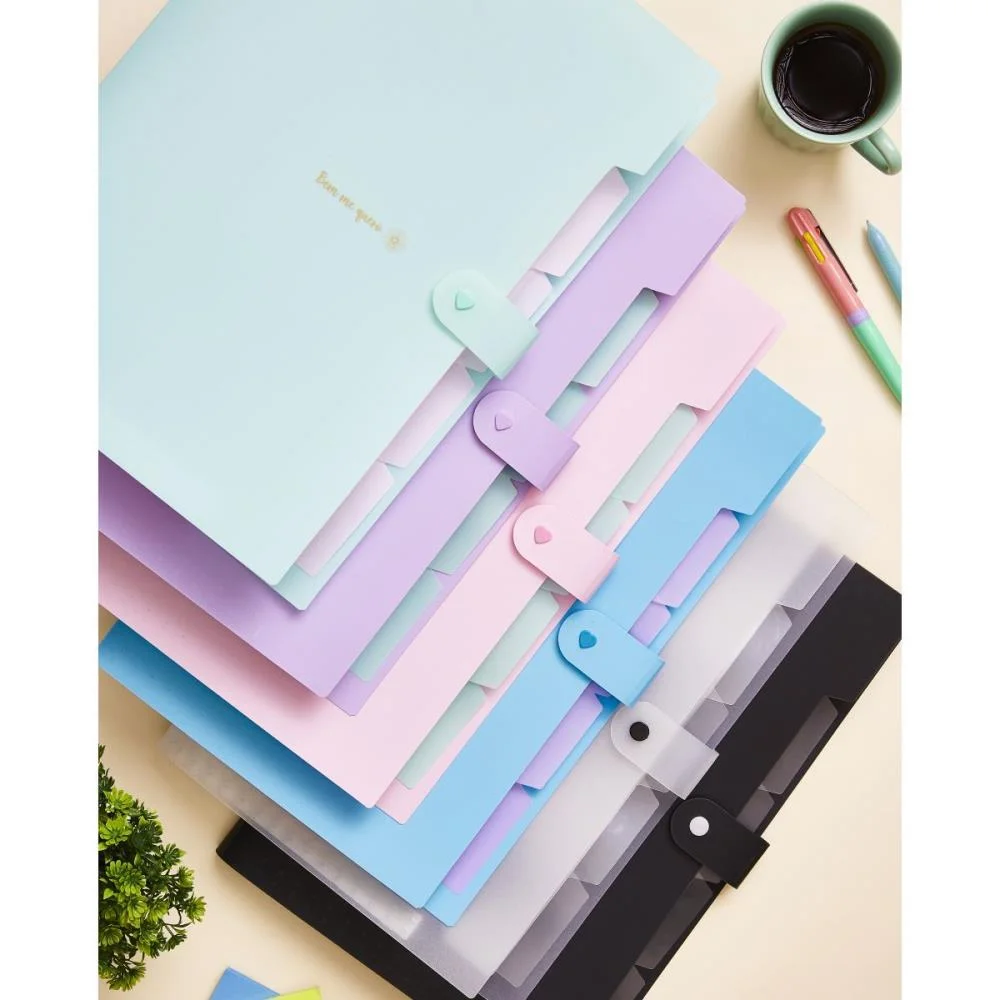 PASTA SANFONADA PLASTICA A4 5 DIVISOES LILAS PASTEL POLIBRAS (UNIDADE) - imagem 6