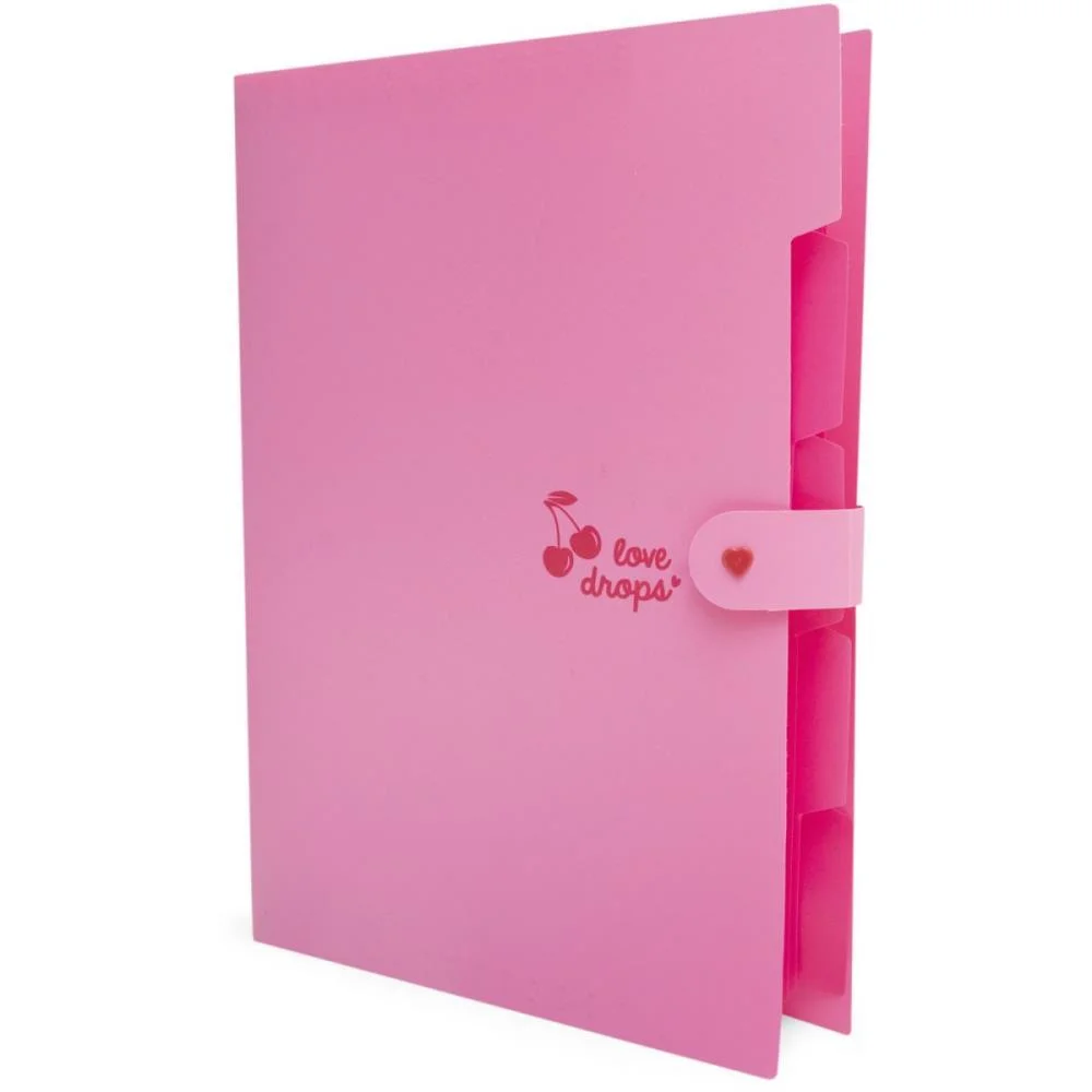 PASTA SANFONADA PLASTICA A4 5 DIVISOES CEREJA POLIBRAS (UNIDADE) - imagem 2