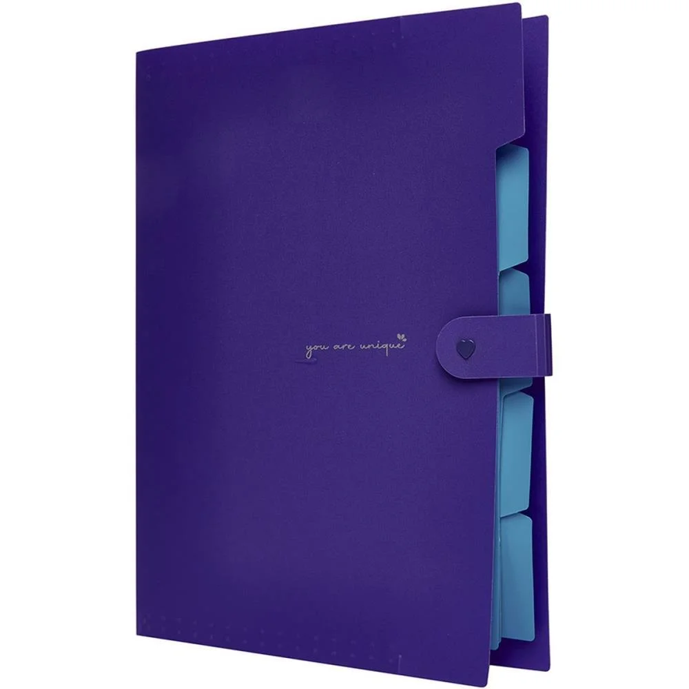 PASTA SANFONADA PLASTICA A4 5 DIVISOES LILAS NEON POLIBRAS (UNIDADE) - imagem 2