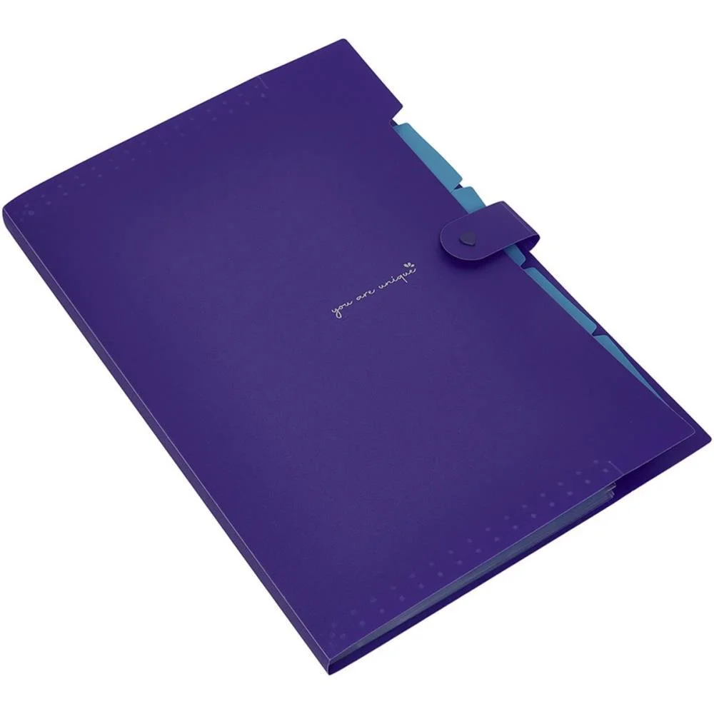 PASTA SANFONADA PLASTICA A4 5 DIVISOES LILAS NEON POLIBRAS (UNIDADE) - imagem 3