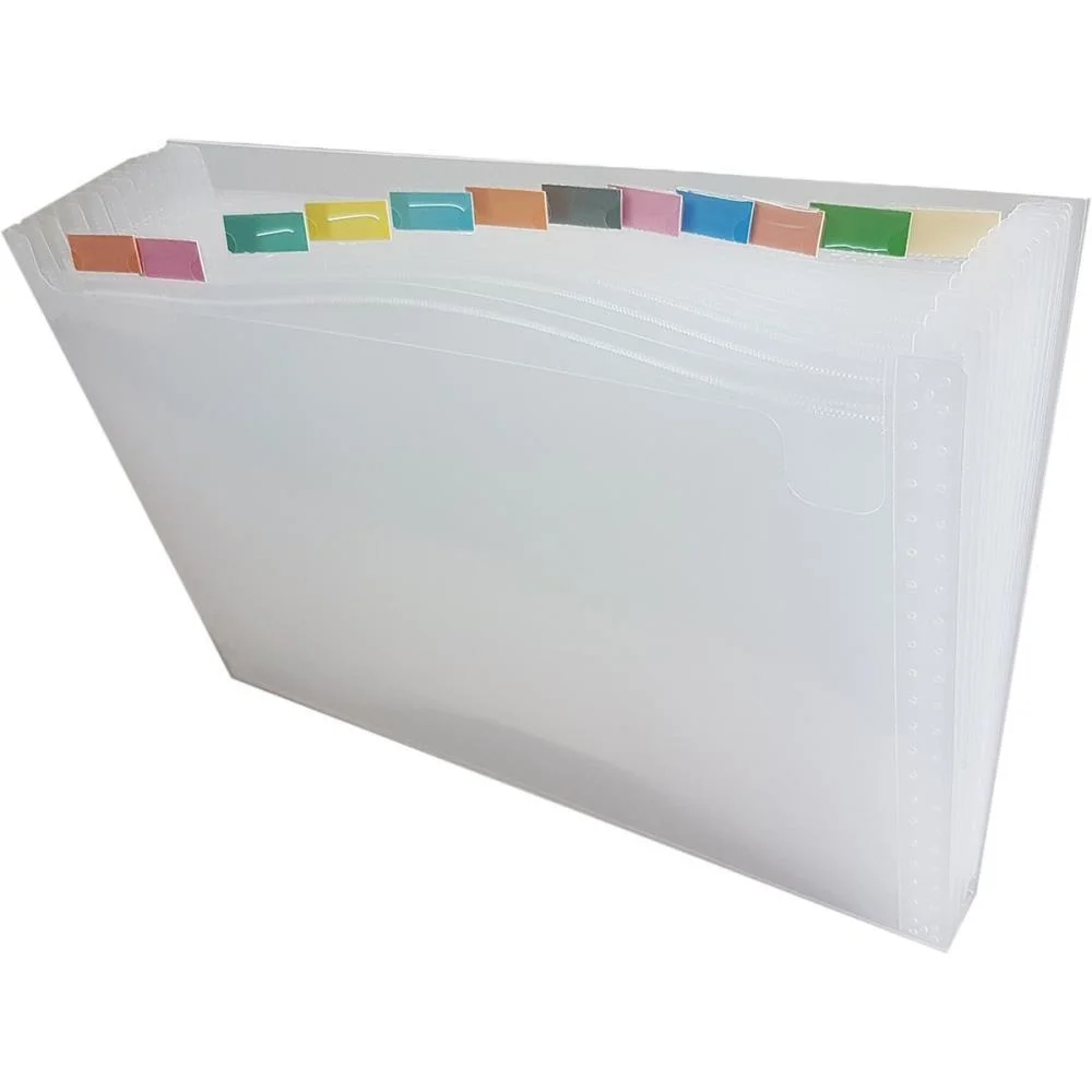 PASTA SANFONADA PLASTICA A4 12 DIVISOES CRISTAL ACP (UNIDADE) - imagem 5