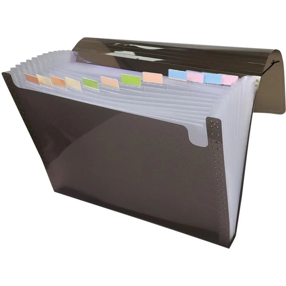 PASTA SANFONADA PLASTICA A4 12 DIVISOES FUME ACP (UNIDADE) - imagem 4