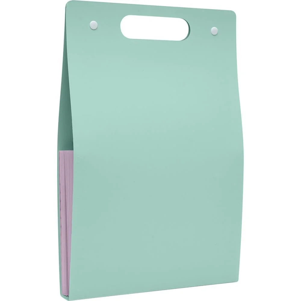 PASTA SANFONADA PLASTICA A4 12 DIVISOES VERTICAL VERDE POLIBRAS (UNIDADE) - imagem 5