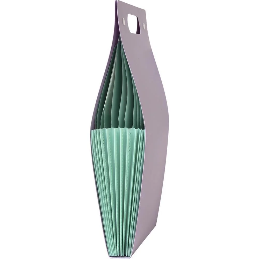 PASTA SANFONADA PLASTICA A4 12 DIVISOES VERTICAL LILAS POLIBRAS (UNIDADE) - imagem 3