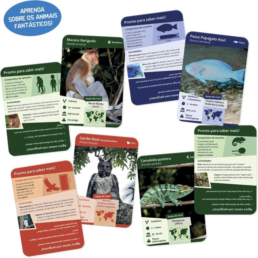 JOGO EDUCATIVO CARTAS GENIAIS ANIMAIS CURIOSO TOYSTER (UNIDADE) - imagem 4