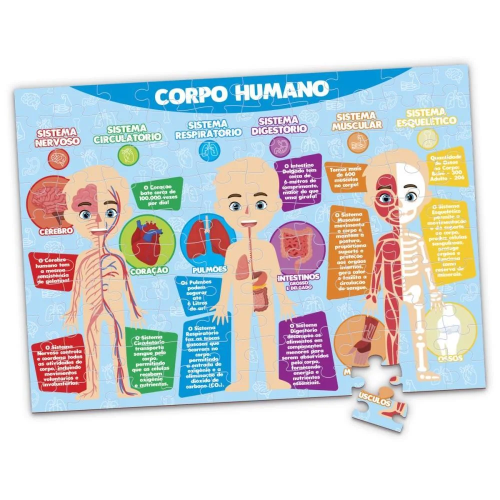 BRINQUEDO PEDAGOGICO CORPO HUMANO 100 PCS GGB PLAST (UNIDADE) - imagem 3