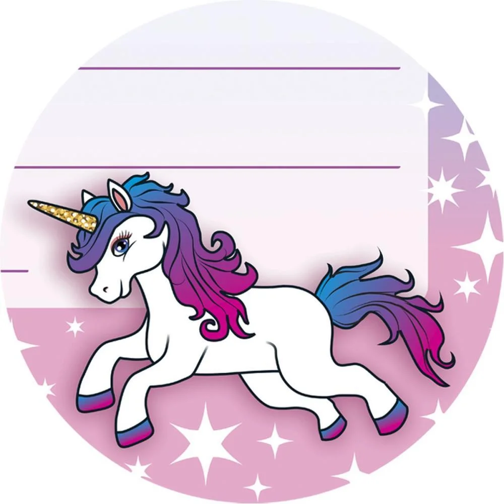 ETIQUETA ESCOLAR DECORADA FEMININA 50X80CM. REFLEX (PCT.C/08) - imagem 4