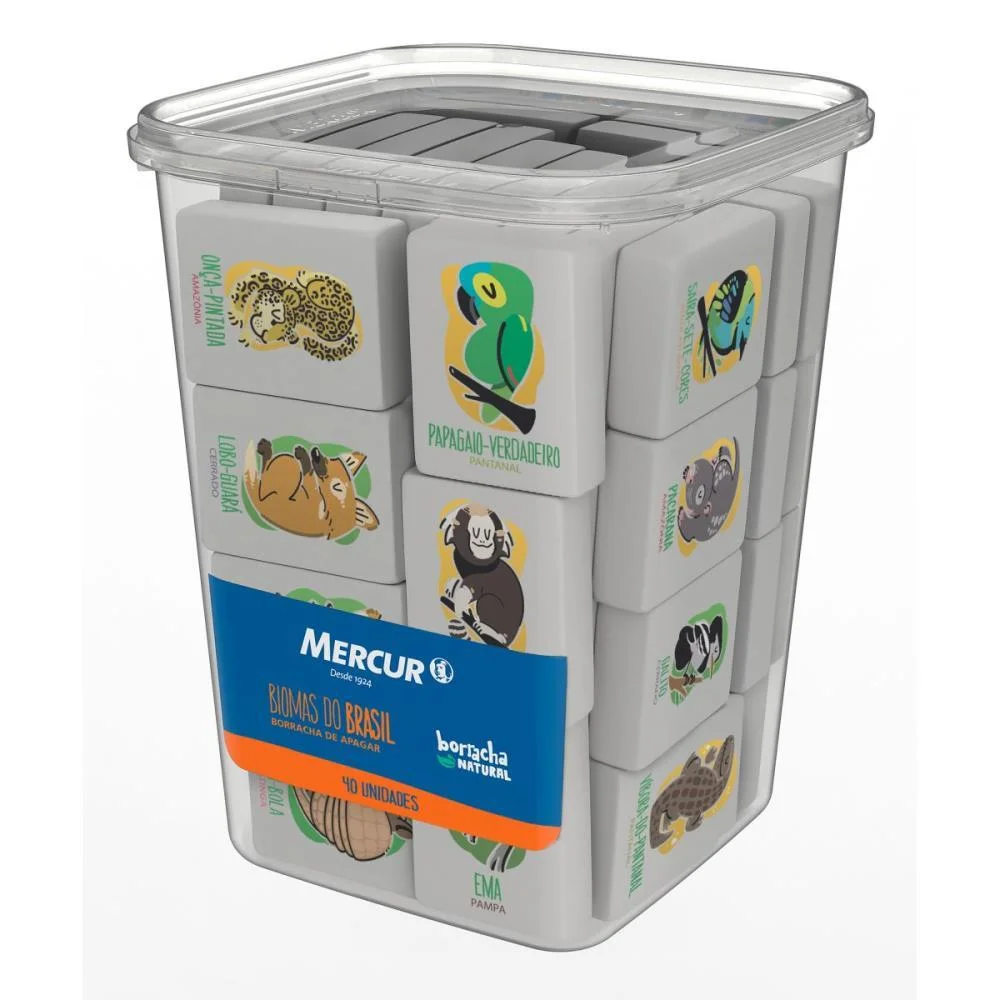 BORRACHA DECORADA NATURAL BIOMAS DO BRASIL (S) MERCUR (POTE-40) - imagem 5
