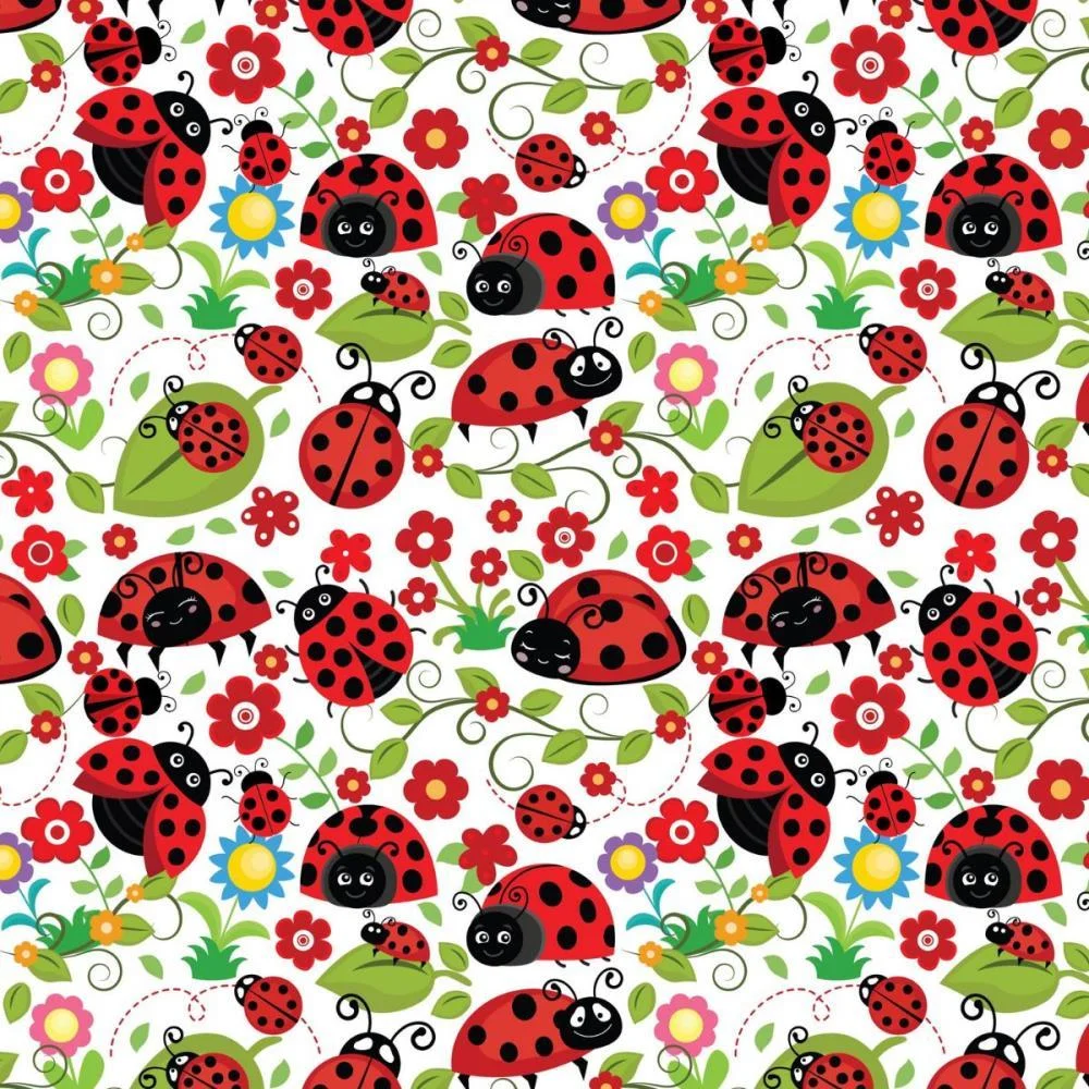 PAPEL PRESENTE BOBINA COUCHE 60CM. MOD.195 JOANINHAS GESSELE (BO-100MTS) - imagem 2