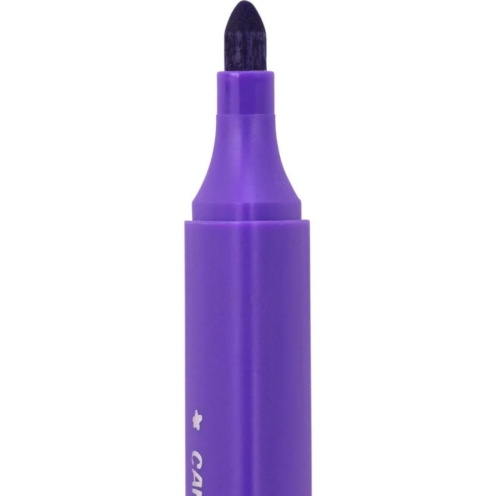 CANETA HIDROGRAFICA PINTA E BOIA C/12 UNIDADES BRW (ESTOJO) - imagem 4